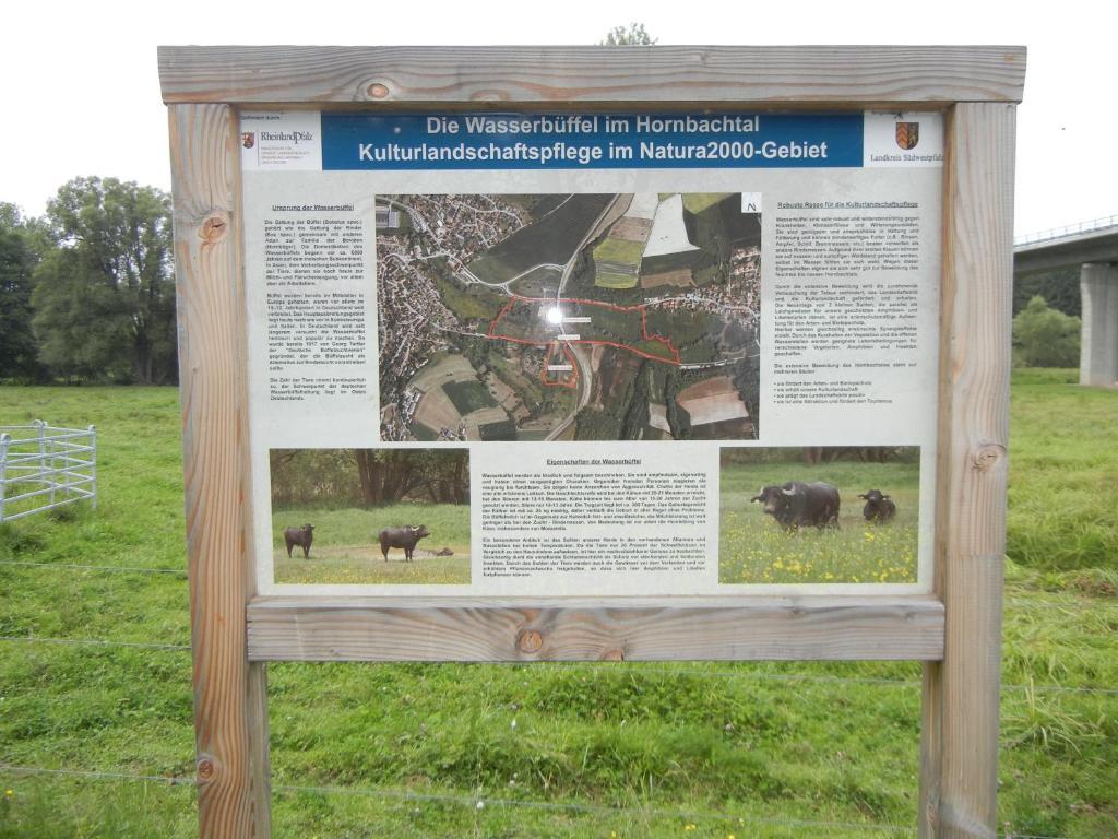 Gaestehaus Monika Hornbach Zewnętrze zdjęcie